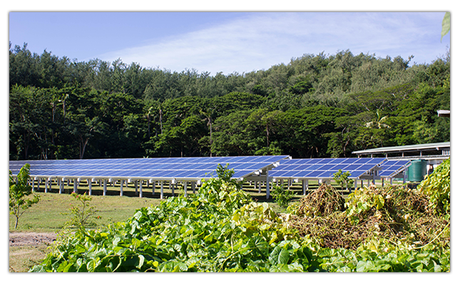 Solar in Garden