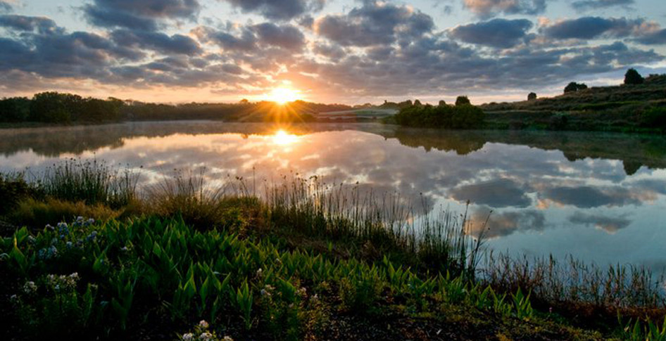 Kiawah Island Real Estate